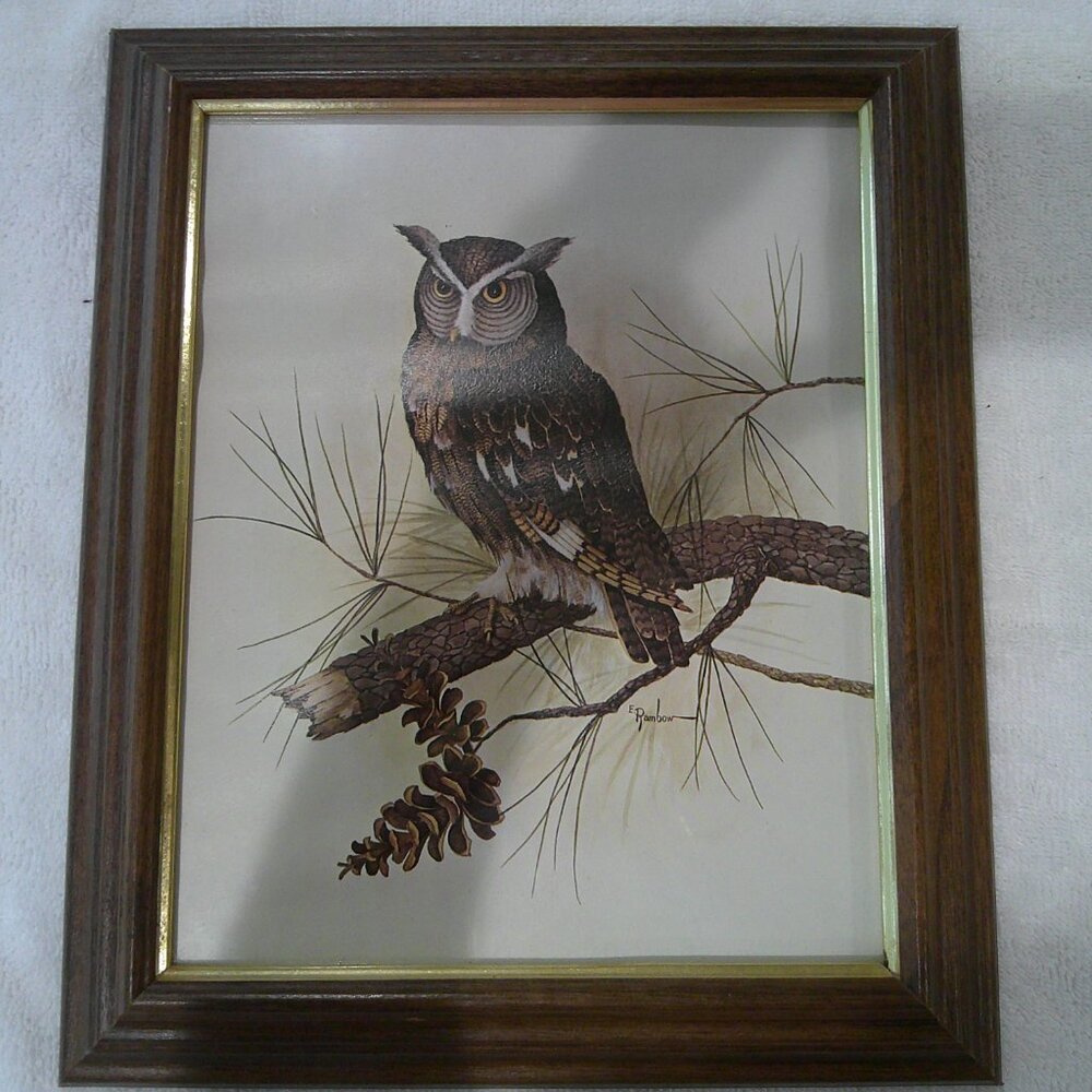 Framed Owl Print 11X13
